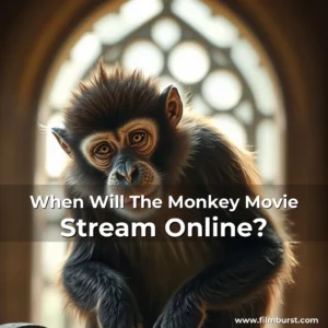 Artistic representation for When Will The Monkey Movie Stream Online?
